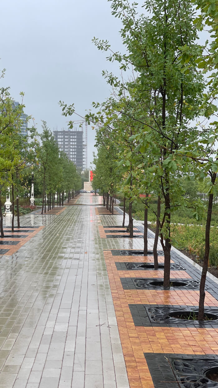 Приствольная решетка для дерева ZKING CRUST 1.2х1.2м Черная в Омутнинске фото