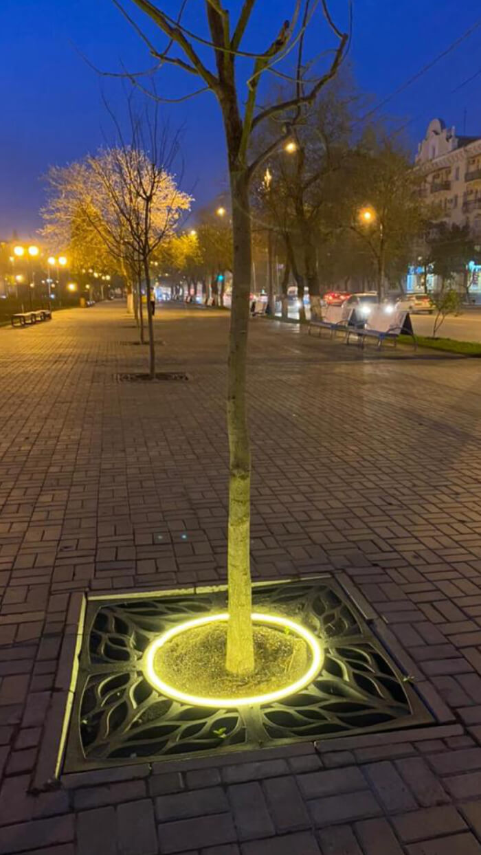 Приствольная решетка для дерева ZKING CRUST 1.2х1.2м Черная в Омутнинске фото